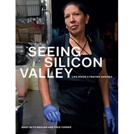 Seeing Silicon Valley: Life Inside a Fraying America