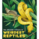 The The Amazing Catalog of Weirdest Reptiles
