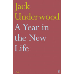 A Year in the New Life