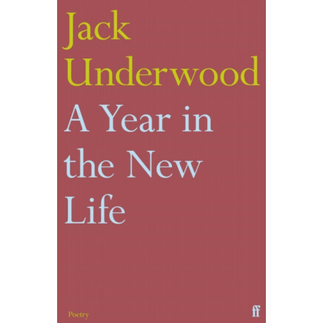 A Year in the New Life