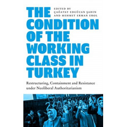 The Condition of the Working Class in Turkey: Labour under Neoliberal Authoritarianism