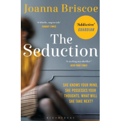 The Seduction: An addictive new story of desire and obsession