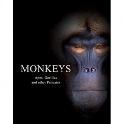 Monkeys: Apes, Gorillas and other Primates