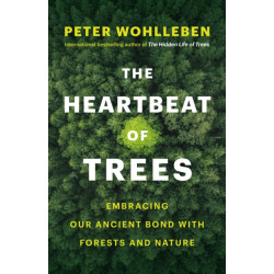 The Heartbeat of Trees: Embracing Our Ancient Bond with Forests and Nature