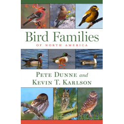 Bird Families Of North America