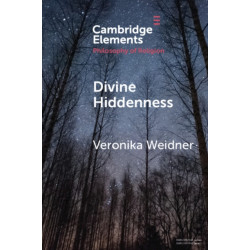 Divine Hiddenness