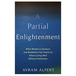A Partial Enlightenment: What Modern Literature and Buddhism Can Teach Us About Living Well Without Perfection