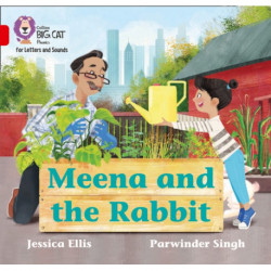 Meena and the Rabbit: Band 02b/Red B