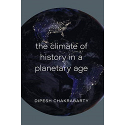 The Climate of History in a Planetary Age