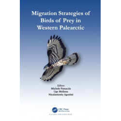 Migration Strategies of Birds of Prey in Western Palearctic
