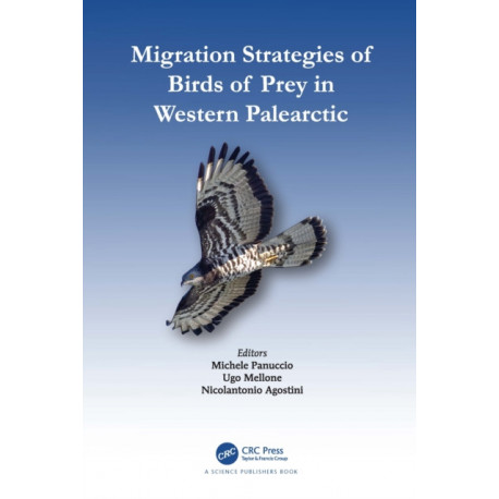 Migration Strategies of Birds of Prey in Western Palearctic