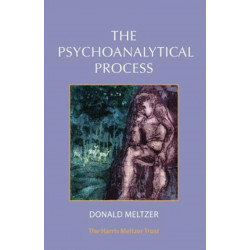 The Psychoanalytical Process