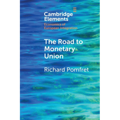 The Road to Monetary Union