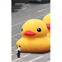 Felix Hoffmann and Kathrin Schonegg (eds.): Send me an Image: From Postcards to Social Media