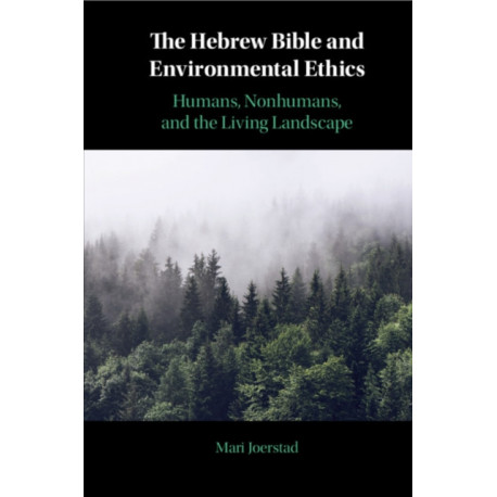 The Hebrew Bible and Environmental Ethics: Humans, NonHumans, and the Living Landscape