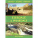 Teesdale & Weardale: Short Scenic Walks