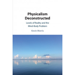 Physicalism Deconstructed: Levels of Reality and the Mind–Body Problem