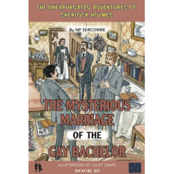 The Mysterious Marriage of the Gay Bachelor