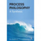 Process Philosophy: A Synthesis