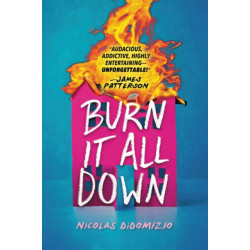 Burn It All Down