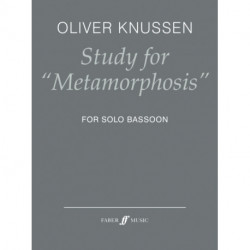 Study for "Metamorphosis"