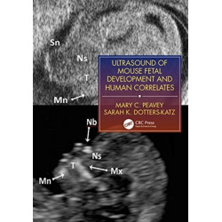 Ultrasound of Mouse Fetal Development and Human Correlates