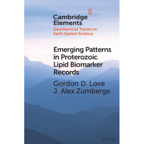 Emerging Patterns in Proterozoic Lipid Biomarker Records