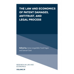 The Law and Economics of Patent Damages, Antitrust, and Legal Process
