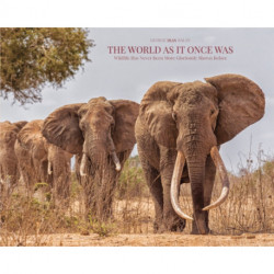 The World As It Once Was