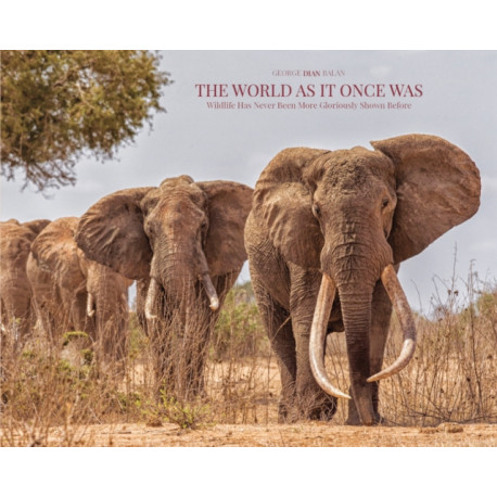 The World As It Once Was