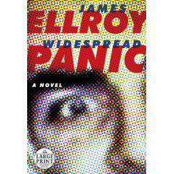 Widespread Panic: A Novel