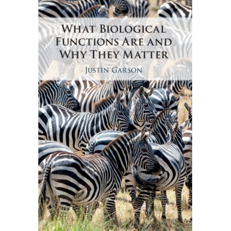 What Biological Functions Are and Why They Matter
