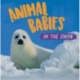 Animal Babies: In the Snow