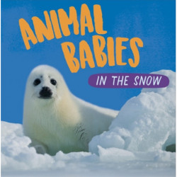 Animal Babies: In the Snow