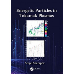 Energetic Particles in Tokamak Plasmas