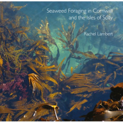 Seaweed Foraging in Cornwall and the Isles of Scilly