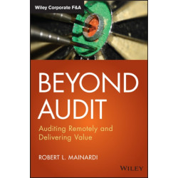Beyond Audit: Auditing Remotely and Delivering Value