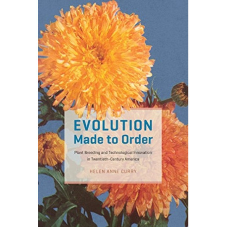 Evolution Made to Order: Plant Breeding and Technological Innovation in Twentieth-Century America