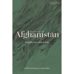 The Spectre of Afghanistan: Security in Central Asia