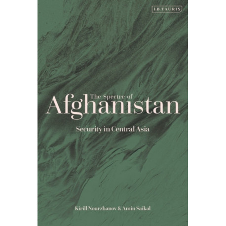 The Spectre of Afghanistan: Security in Central Asia