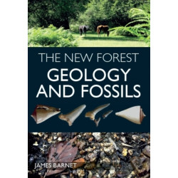 The New Forest: Geology and Fossils