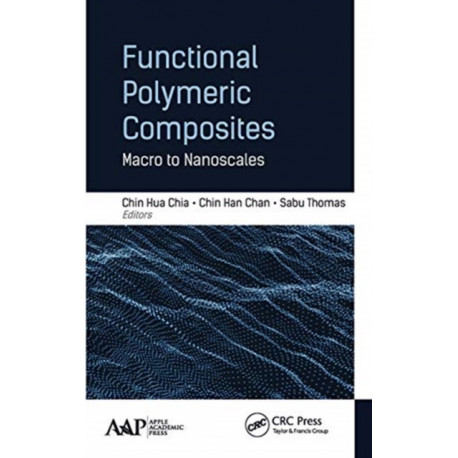 Functional Polymeric Composites: Macro to Nanoscales