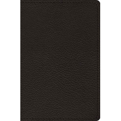 ESV Preaching Bible, Verse-by-Verse Edition