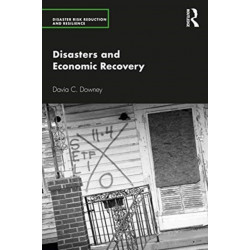Disasters and Economic Recovery