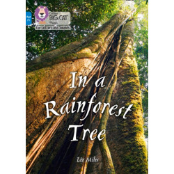 In a Rainforest Tree: Band 04/Blue