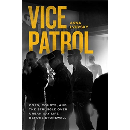 Vice Patrol: Cops, Courts, and the Struggle over Urban Gay Life before Stonewall