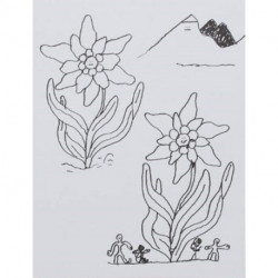 Max, Maria, Andi & Co.