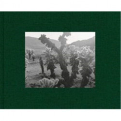 Diana Michener: Trance