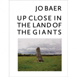 Jo Baer - Up Close in the Land of the Giants