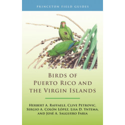 Birds of Puerto Rico and the Virgin Islands: Fully Revised and Updated Third Edition
